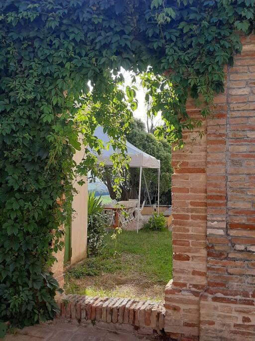 Villa Ginevri, La Casa Vacanze Immersa Nel Verde Mondavio Exteriör bild